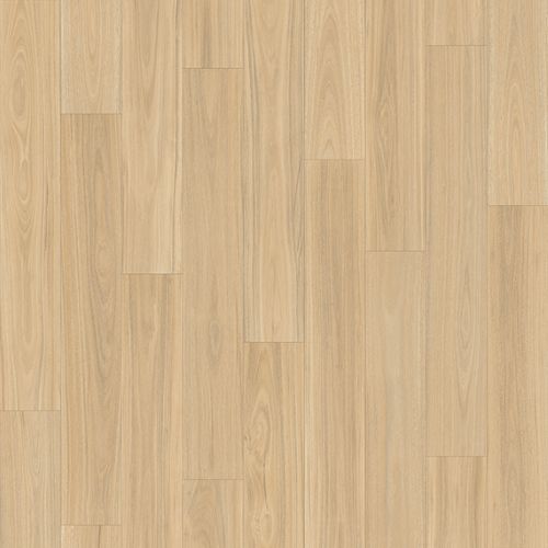 Savannah Blackbutt 167m